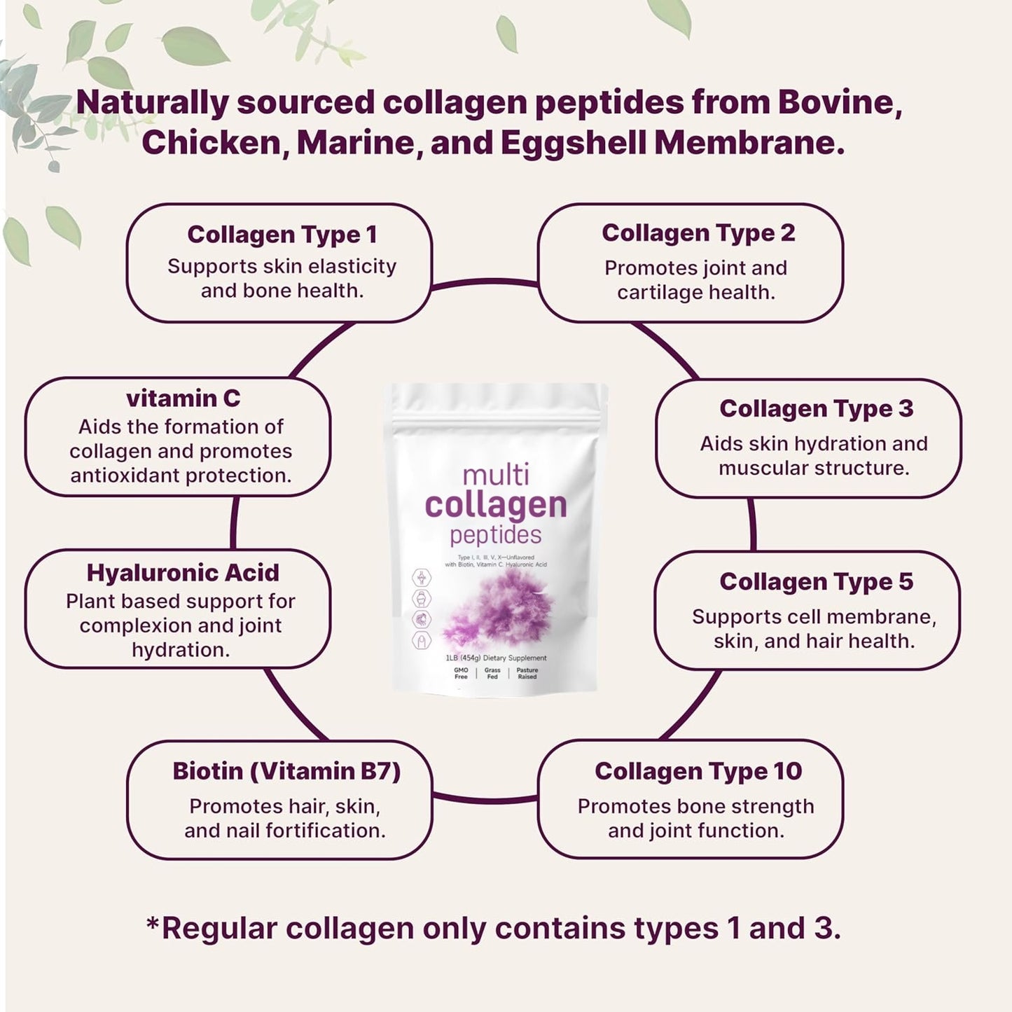 Multi Collagen Peptide Powder